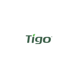 tigo
