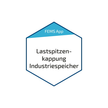 Fenecon FEMS Lastspitzenkappung (FEM912)