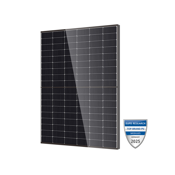 DMEGC DM455M10RT-B54HBT