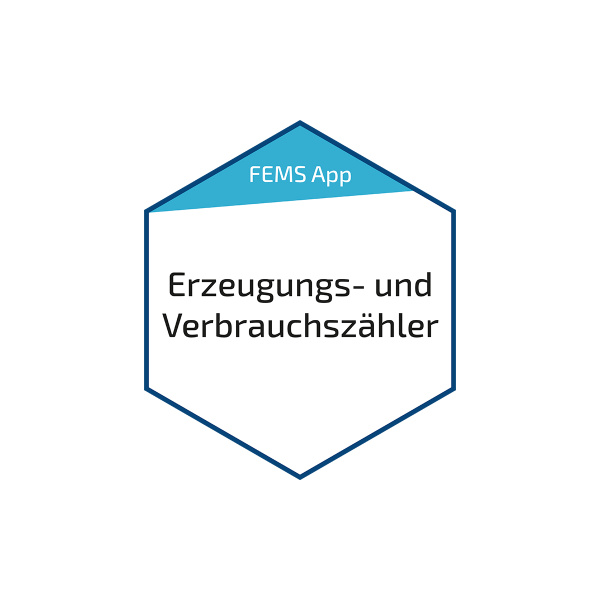 Fenecon FEMS Erzeug.- und Verbr.-Zähler (FEM131)